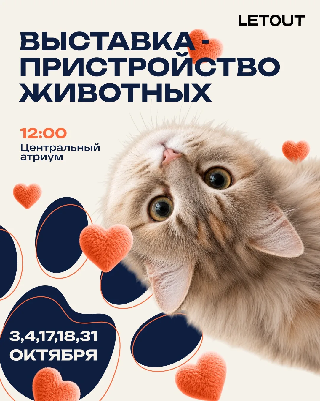 🐾 «Доброхвост» снова в LETOUT — возможно, именно здесь случится ваша особенная встреча!