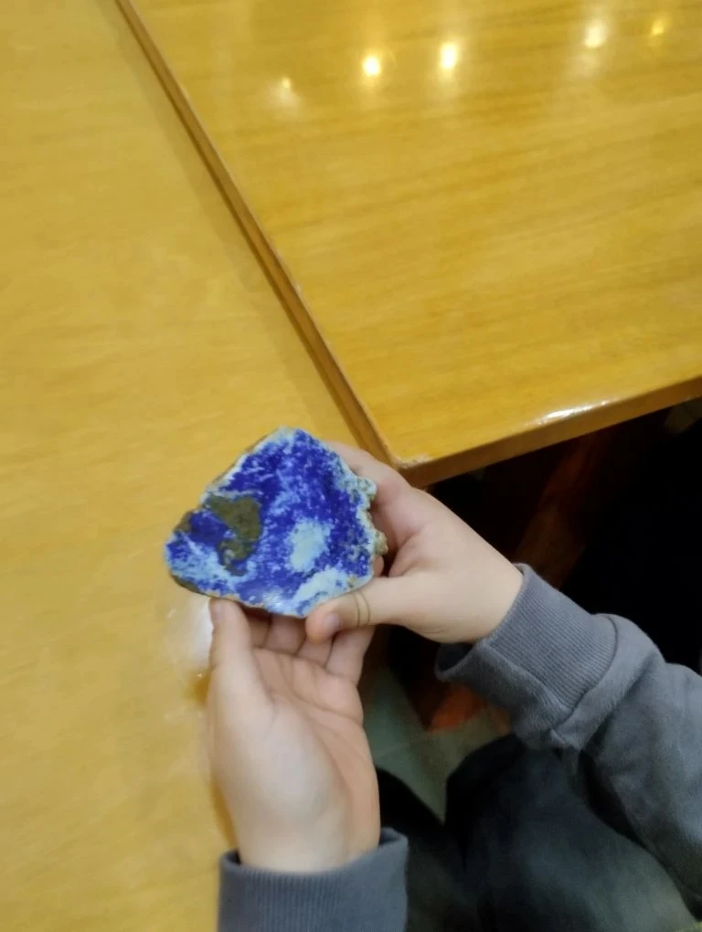 Сегодня ученики 3 "Б" класса отправились в увлекательное путешествие в Краевой музей Прозрителева и 