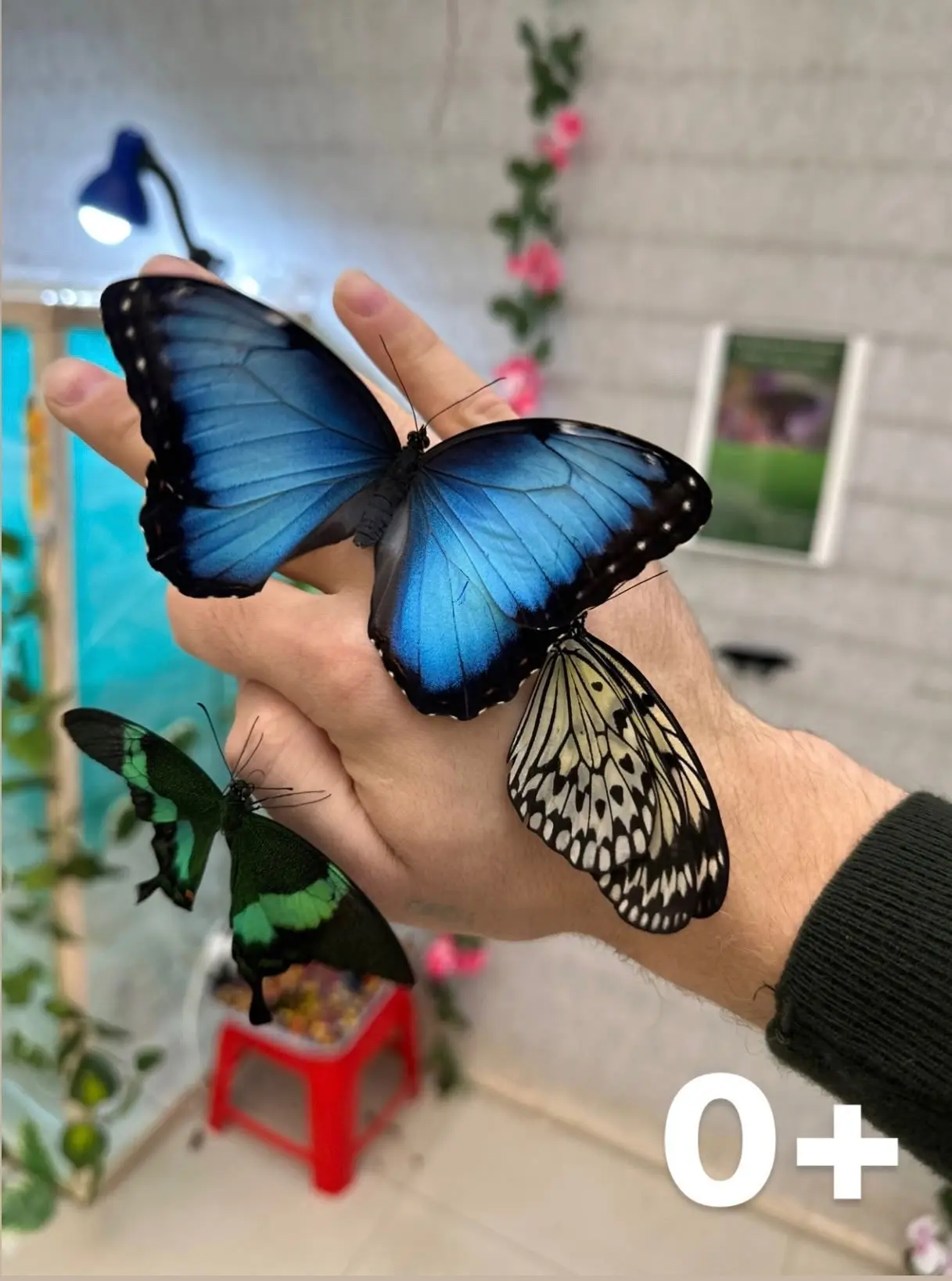 Ссылка на пост ➡️ https://vk.ru/wall-10858757_77863