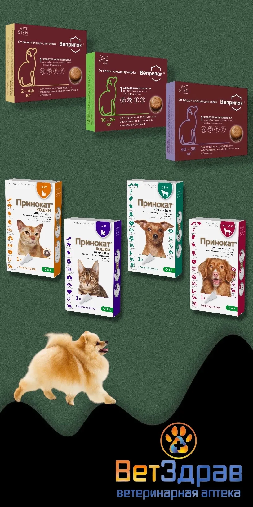 🐾 В аптеке — новинки! 🐾