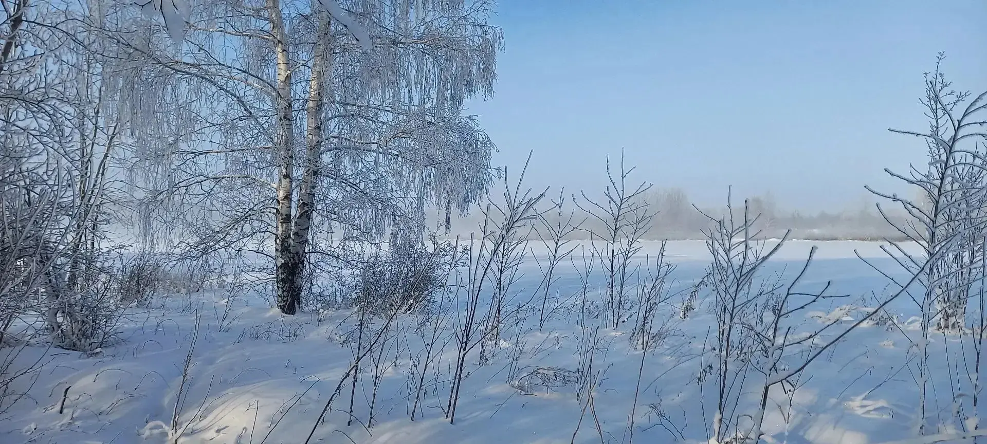 Январское утро.
Январским утром виснет в поле
Молочной свежести туман.
Бескрайне снежное раздолье
Св