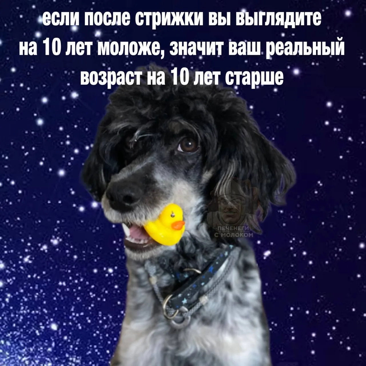 Во истину.  Правда, жаль, что меня стрижки моложе никогда не делали 😄 зато стабильно в своем возраст