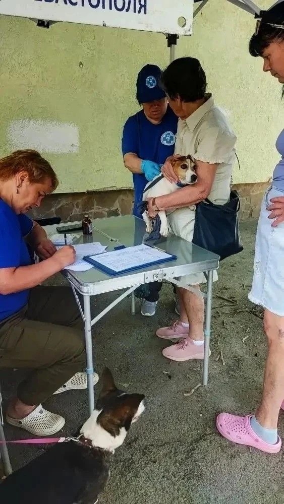 В минувшую субботу ветеринарные врачи провели профилактическую компанию против бешенств...