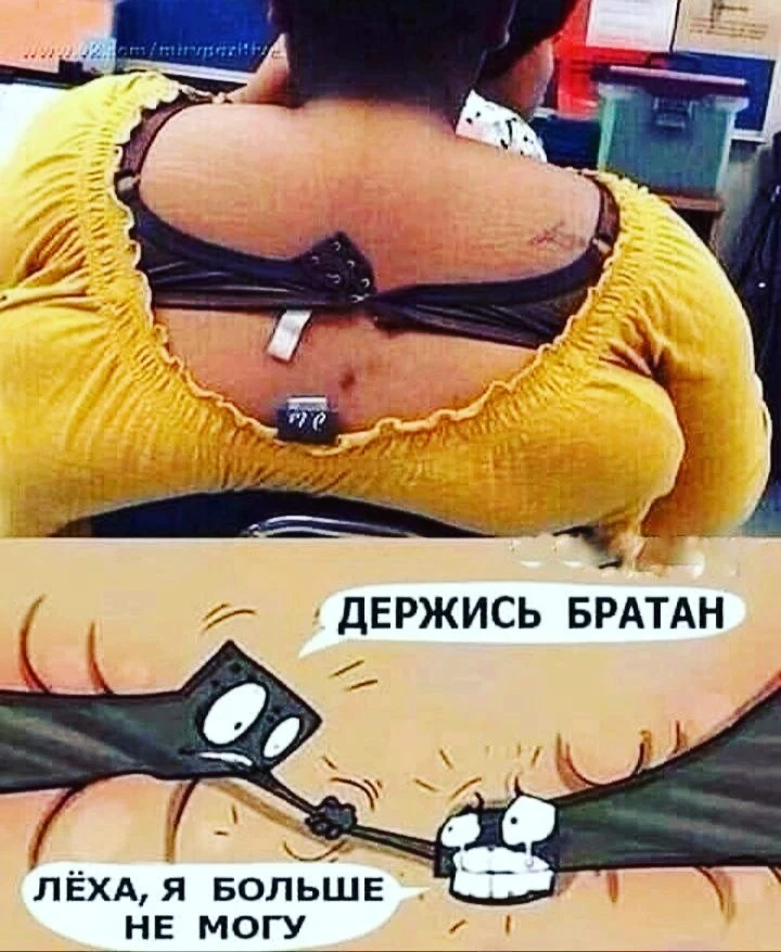 Ежик