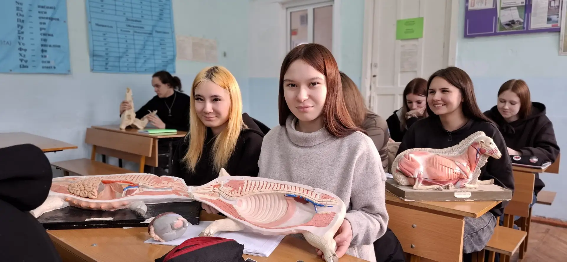 Ветеринарный фельдшер – это очень интересная профессия, она подходит для людей, которые мечтают рабо