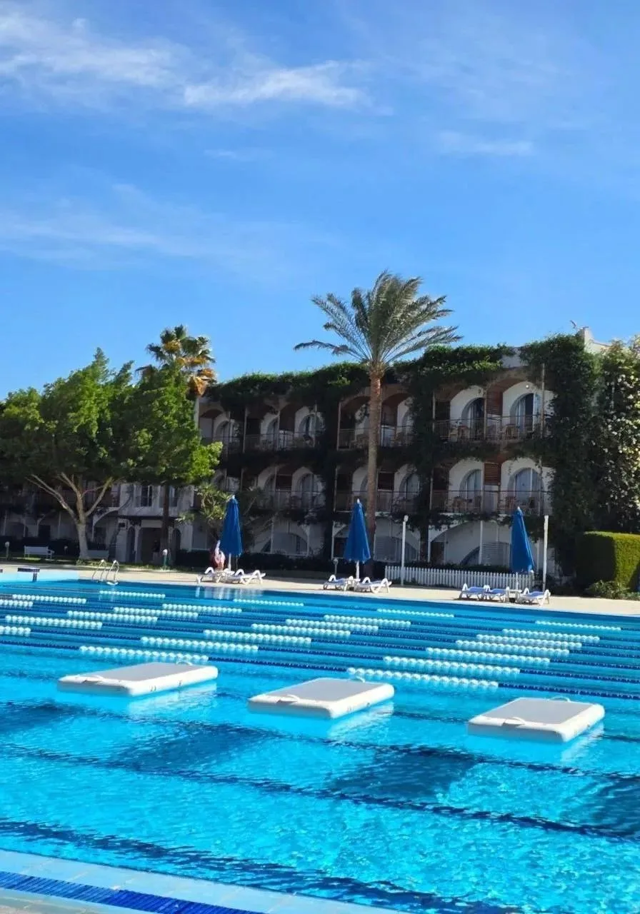 🌴 Отель, в который туристы возвращаются снова и снова ❤️

🇪🇬 DESERT ROSE RESORT 5* — один из самы