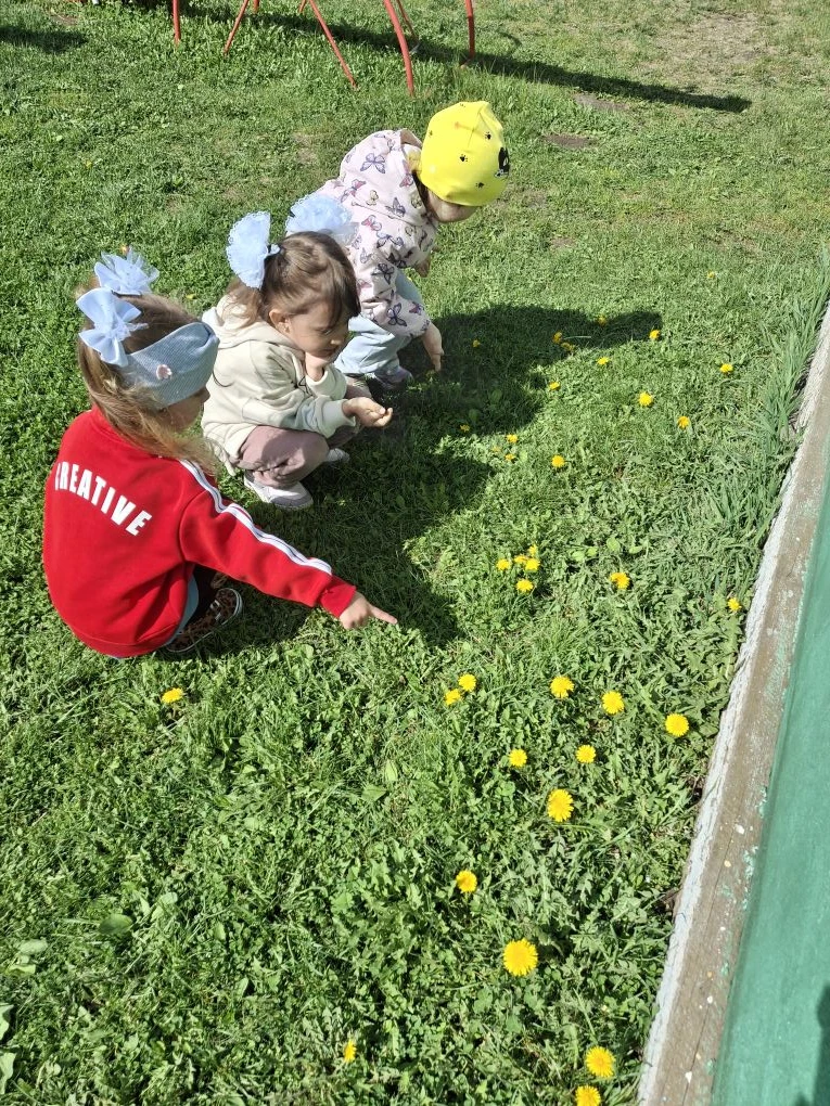 Одним из символов расцветающей весны являются весёлые жёлтые одуванчики. Они такие крас...