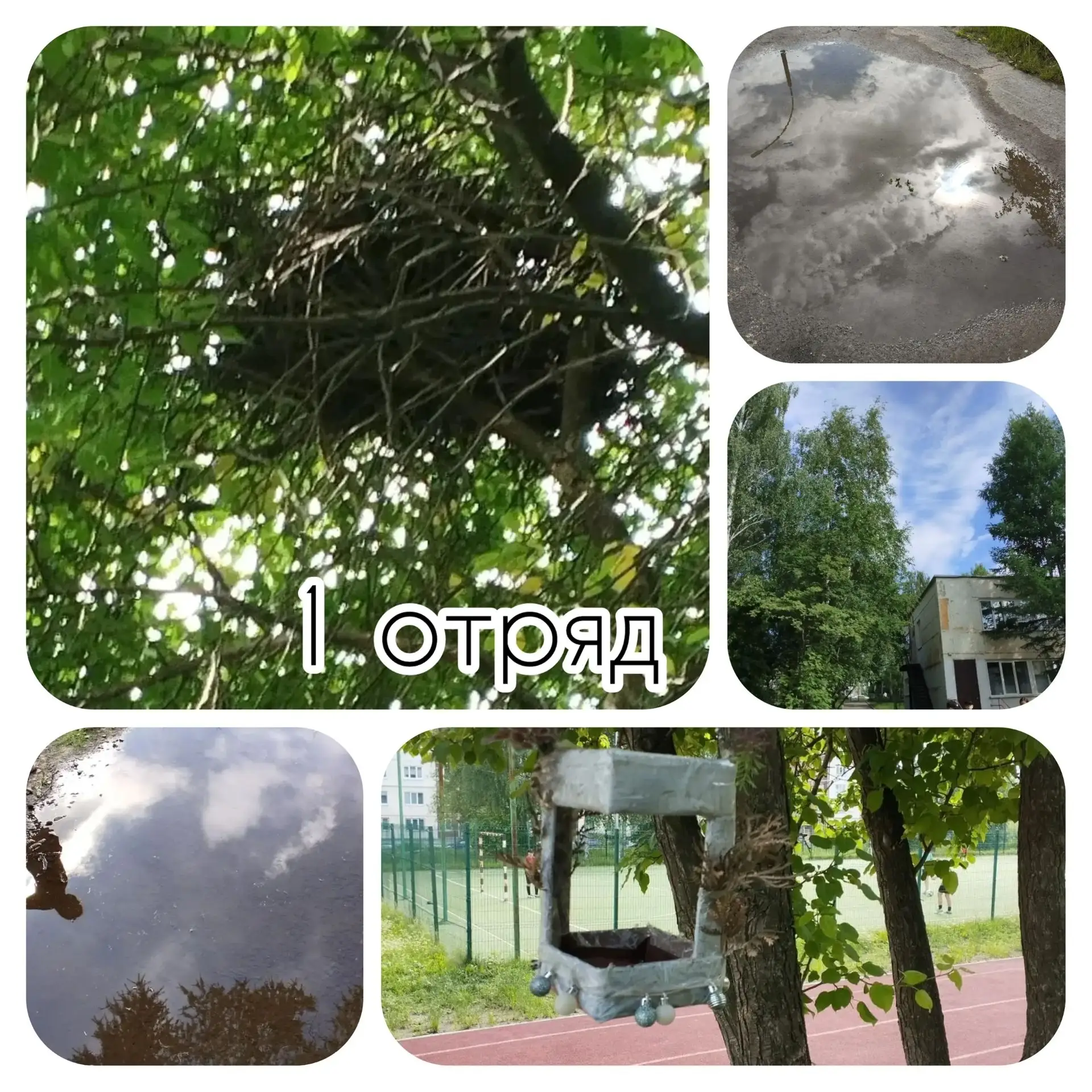 🌿 День экологии в нашем лагере: фотоохота «Природа в фокусе» прошла на ура! 🌿

Друзья, хотим подел
