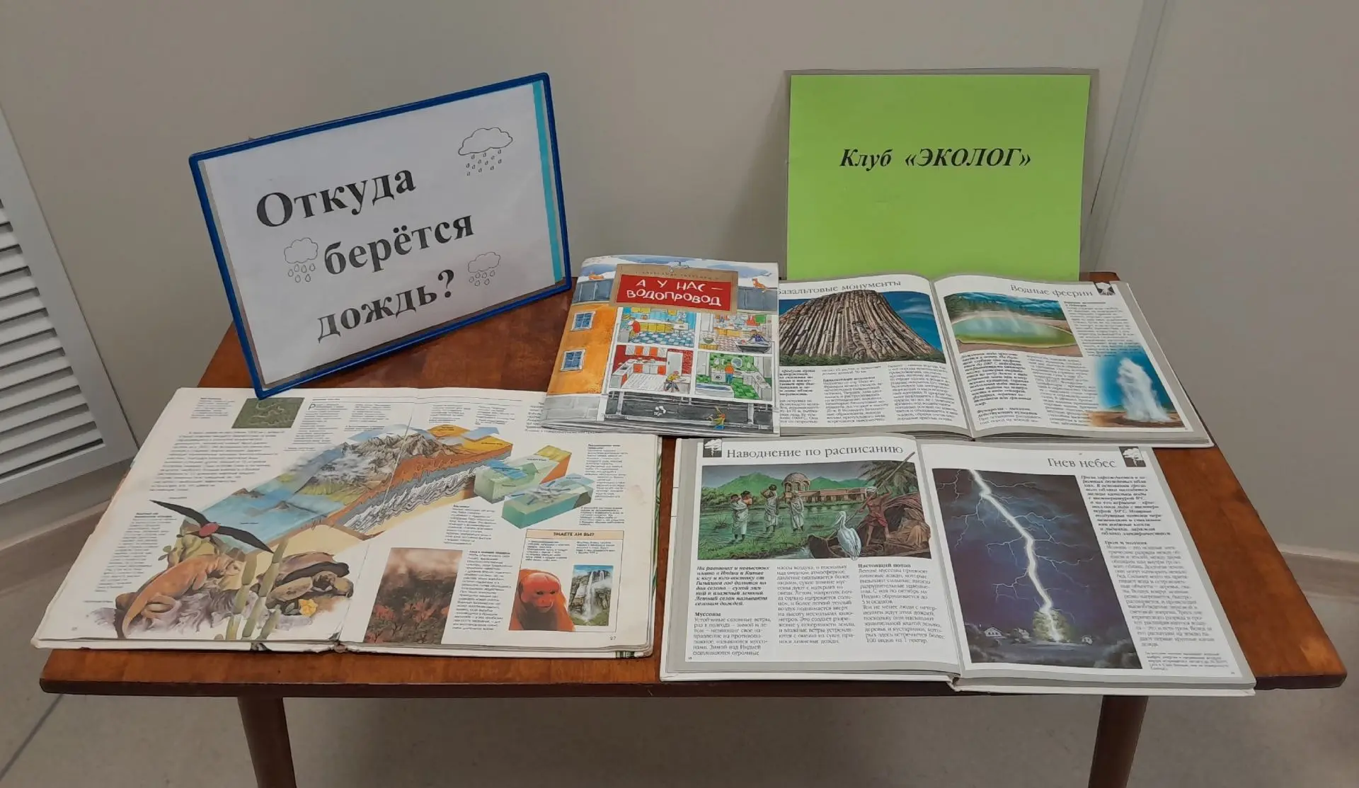 В рамках занятия клуба «Эколог» библиотекарь детского зала Краснослободской центральной...