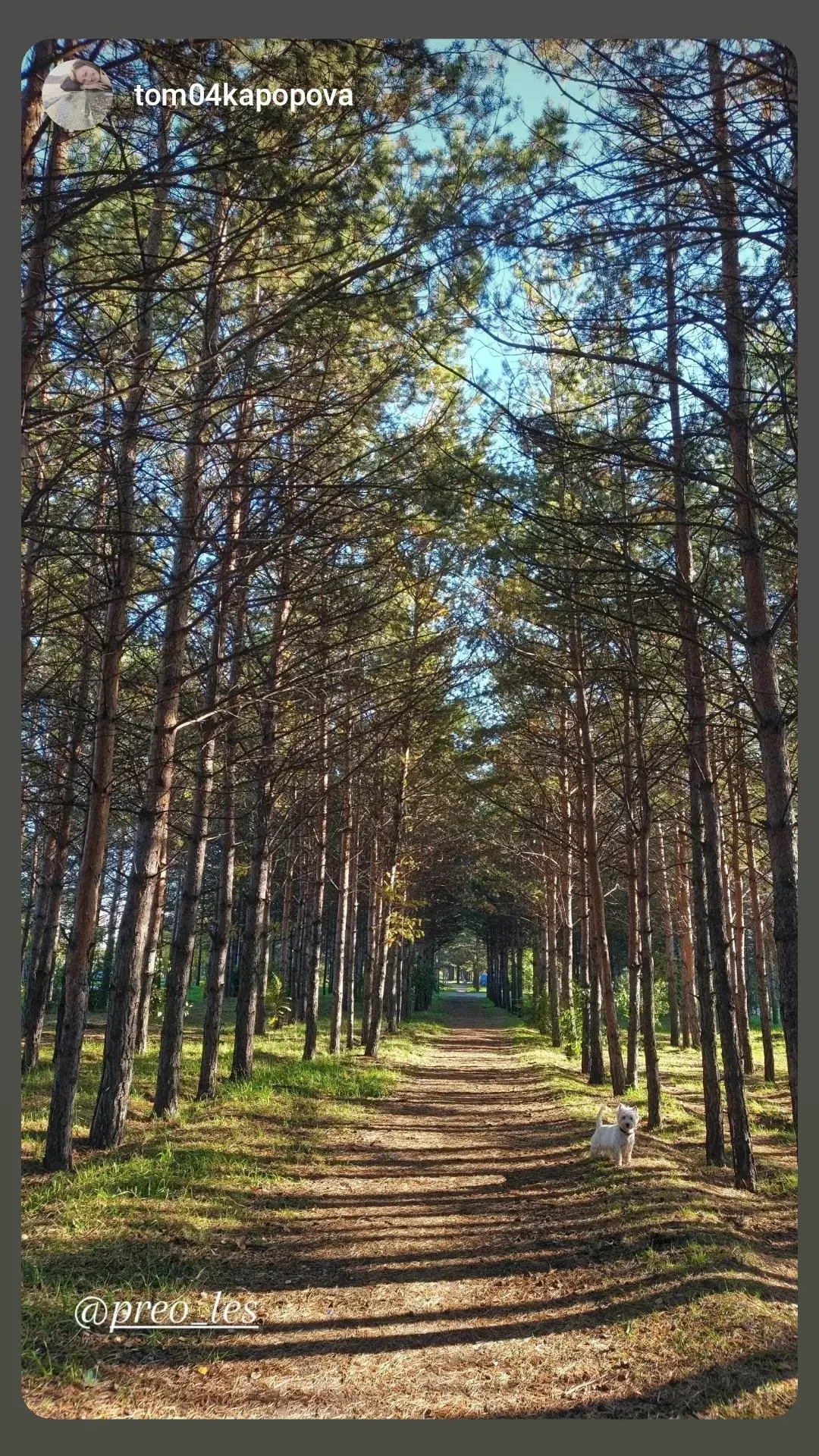 От подписчика