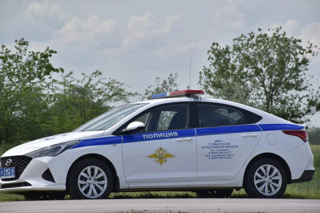 🚔 В Ростовской области пешеход погиб под колесами автомобиля