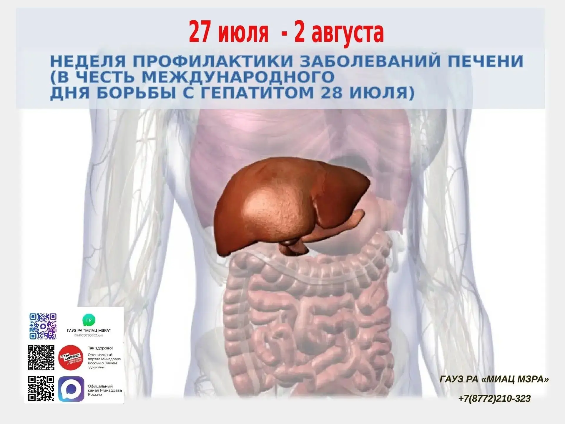 Неделя профилактики заболеваний печени: сохраните свой главный фильтр!

С 27 июля по 2 августа в Рес