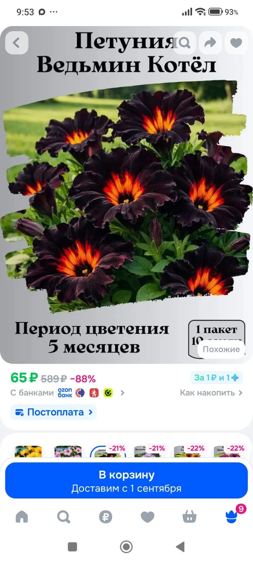 Смотрите, какие красотки!