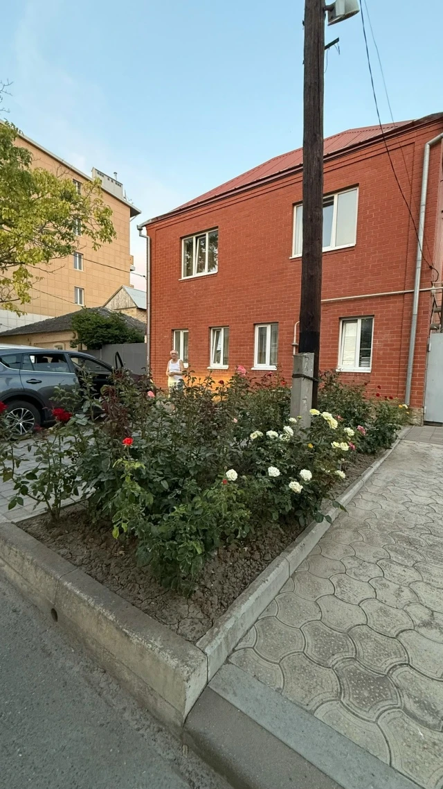 #АНАПА  Приглашаем вас комфортно отдохнуть в частном доме в самом центре Анапы☀️  ✅Хозяйка/без посре