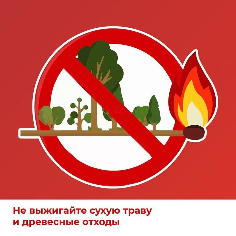 🌲🔥🌳Леса горят чаще всего по вине человека: из-за непотушенного костра, брошенной спи...