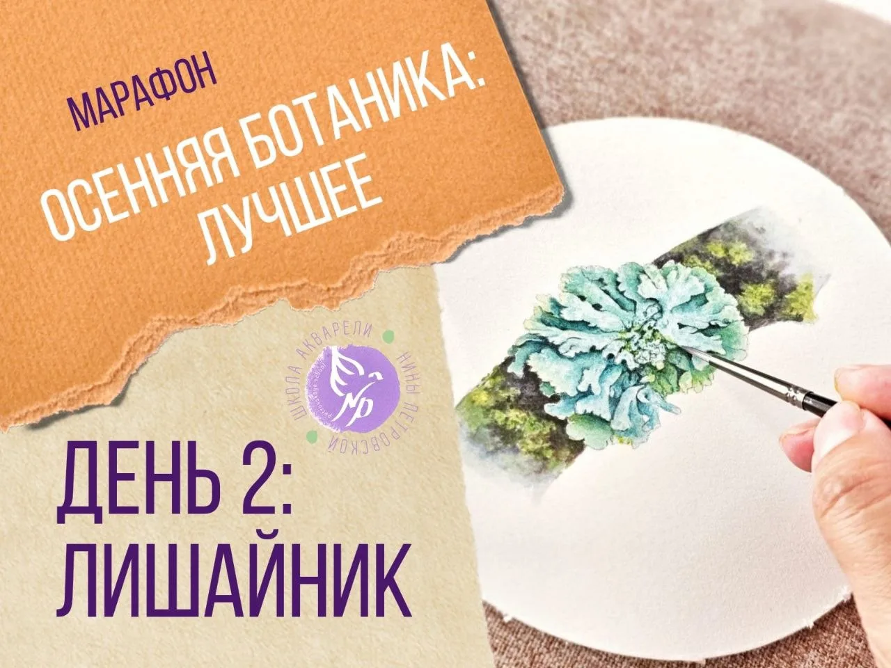 Второй эфир марафона «Осенняя ботаника: ЛУЧШЕЕ» уже сегодня!🎉