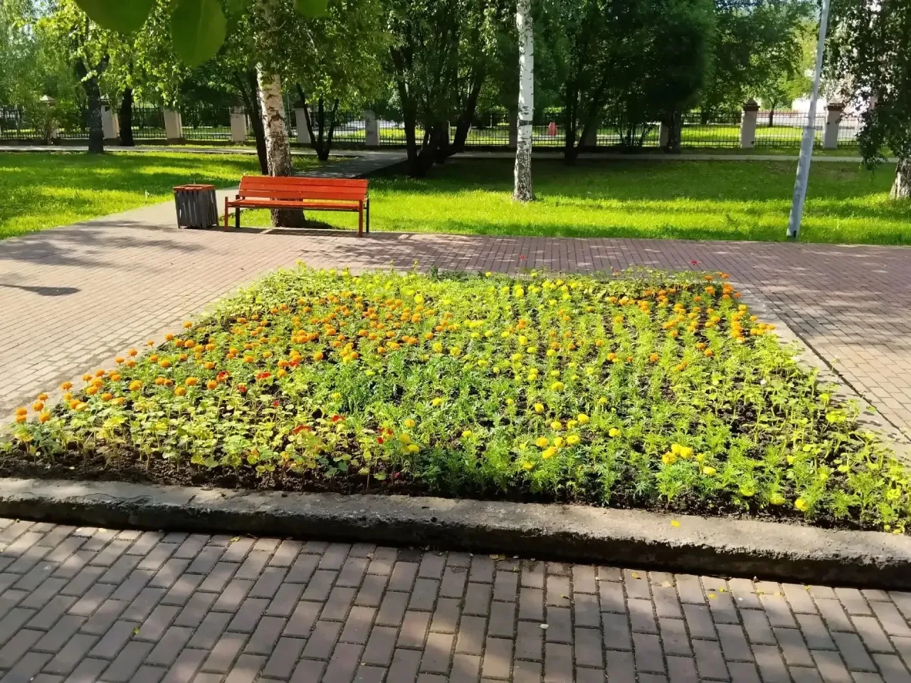 ЗЕЛЕНЫЕ БУДНИ. Итоги недели

🌸 На улице Щорса, площади Славы и в Комсомольском сквере, у Демидовско
