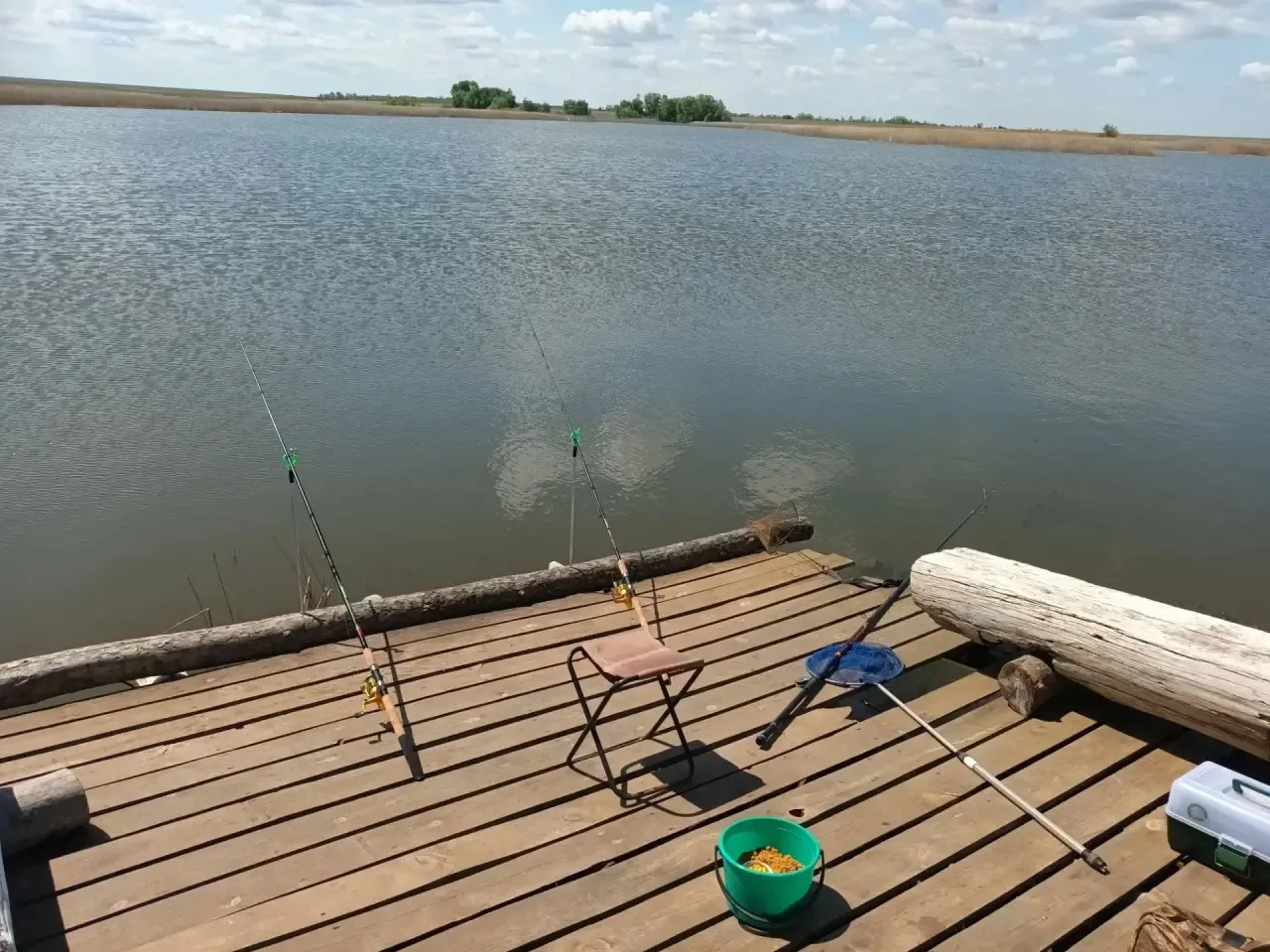 🎣 Уходит тепло - приходит время налима: как и когда ловить капризного хищника