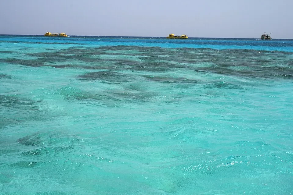Солёность Красного моря одна из самых высоких в мире — до 41‰

Причина — сильное испарение и почти п