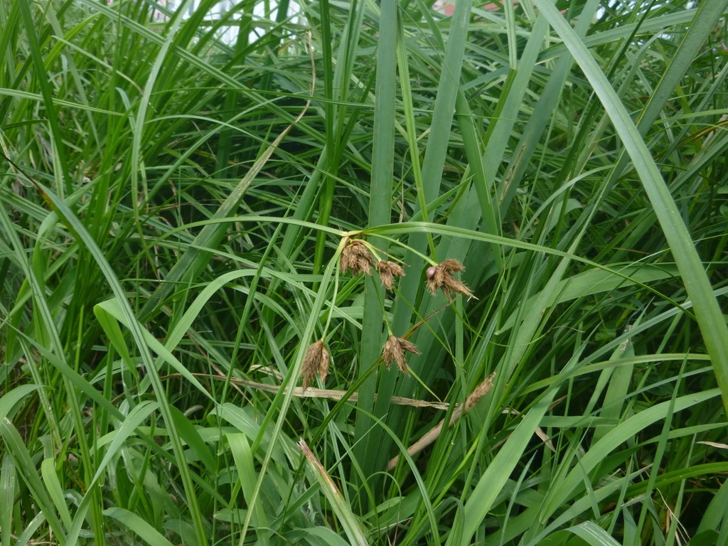 🌿 19-е августа