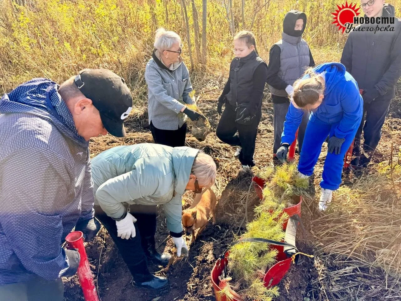Несколько рядков сегодня посадили жители Шахтёрска. С удивительной скоростью (участники...
