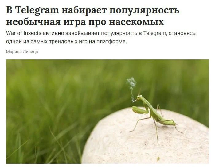 War of Insects сейчас набирает вирусную популярность в Telegram

В мессенджере сейчас все обсуждают 