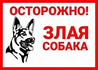 🐶  "Осторожно, злая собака!"

В рамках единого дня безопасности, посвященного теме "Осторожно, злая