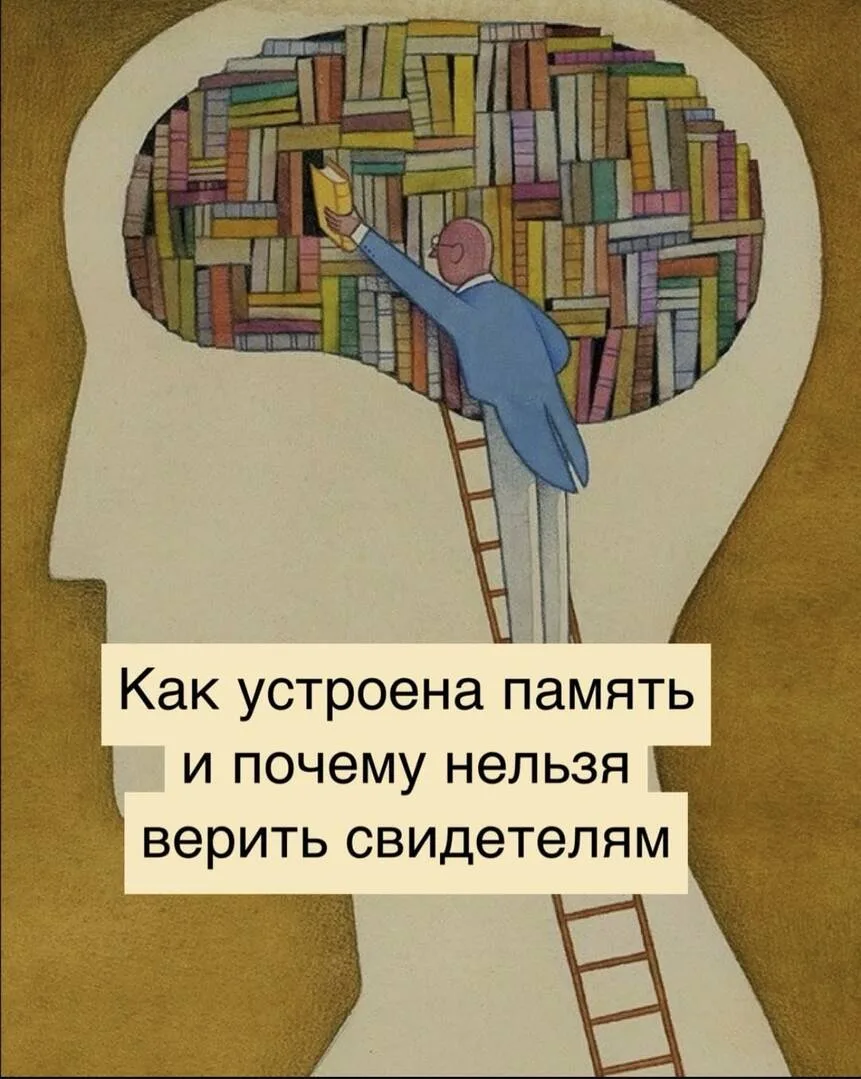 https://thixotraining.ru/forum/mezenrealizm-posty/kak-ustroen-pamyat-i-pochemu-nelzya-verit-svidetel