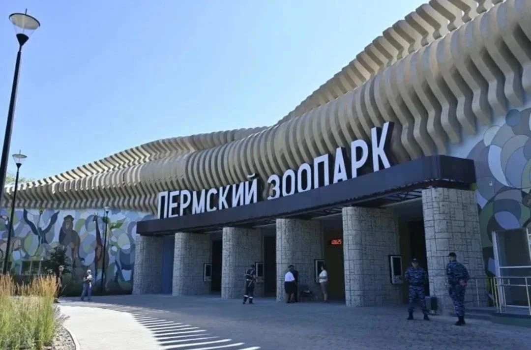 🦁 Пенсионеров бесплатно приглашают в Пермский зоопарк