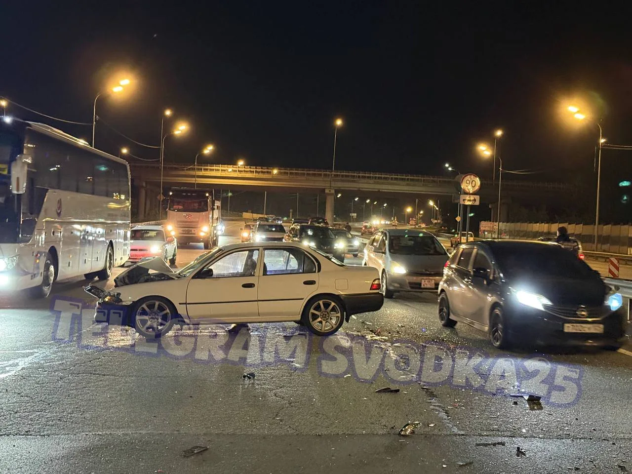 Во Владивостоке на Маковского произошло жесткое тройное ДТП, в котором погибла собака — водитель Кор