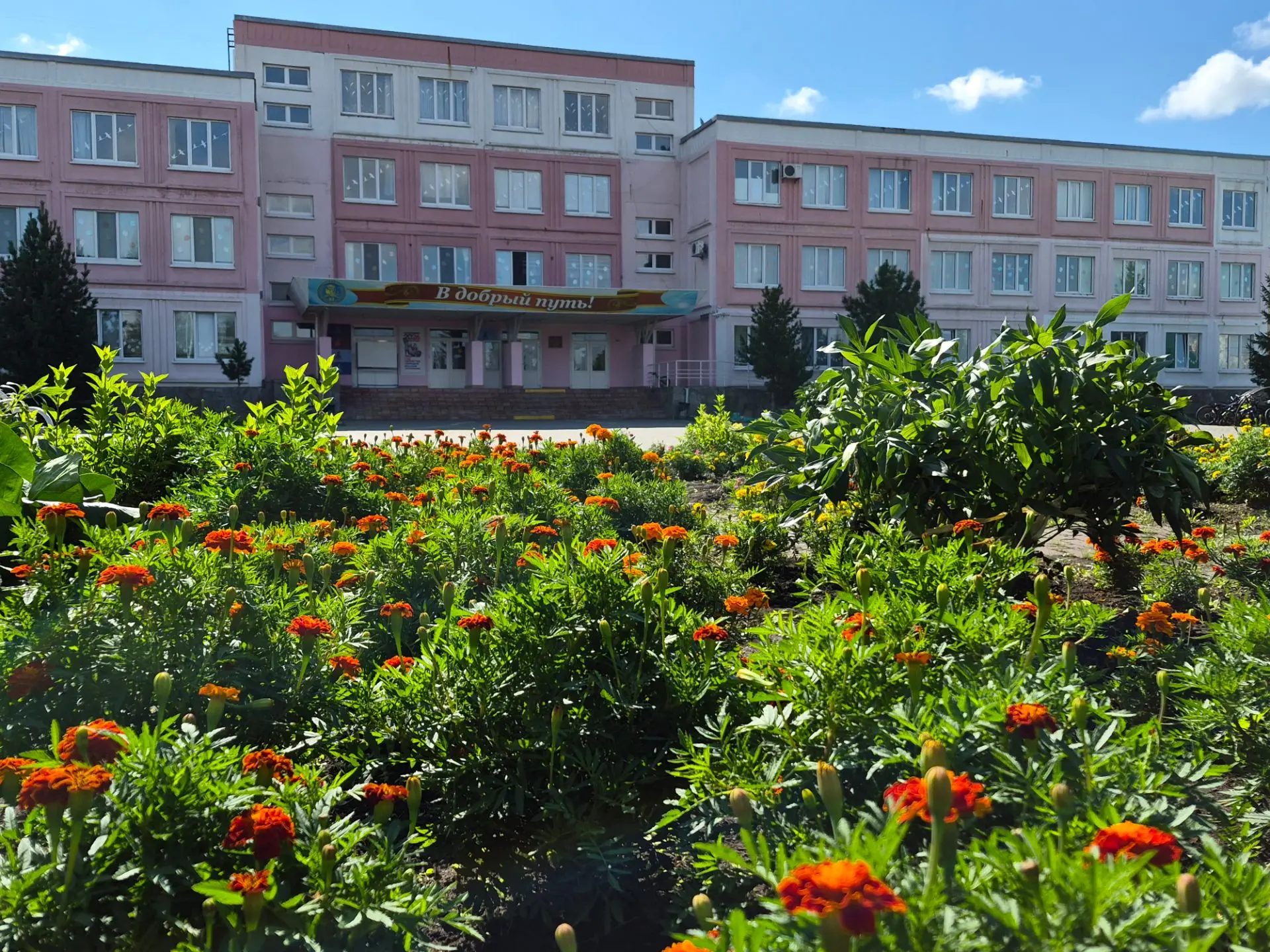 Лето в гимназическом дворе🍃
Летом наш двор особенно хорош: много зелени, солнце и свежий воздух☀️🌲