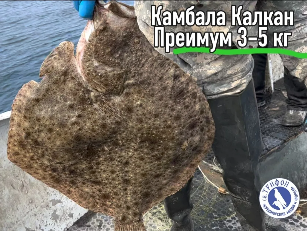Предзаказ
