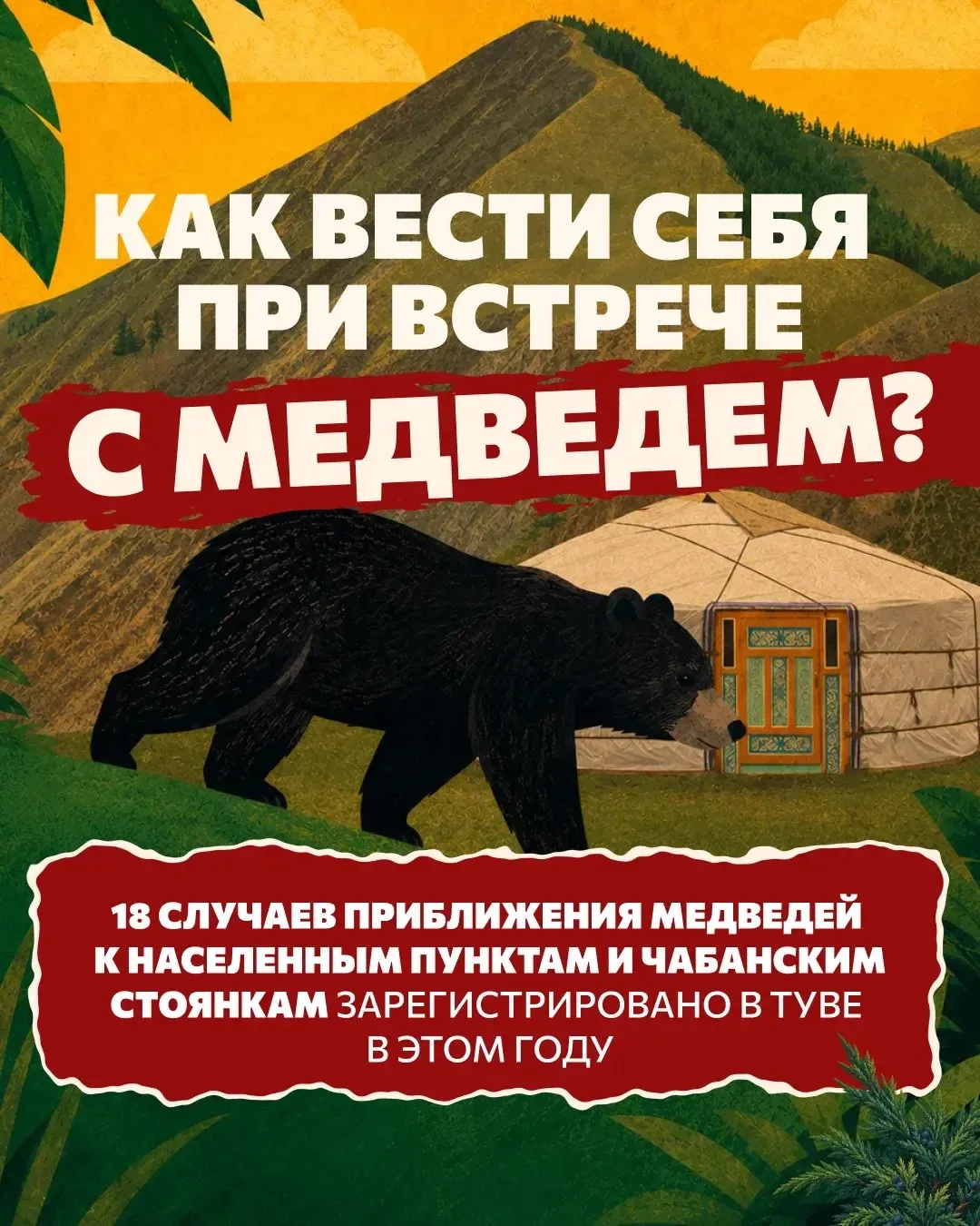 Руководитель Госкомохотнадзора Тувы Артыш Салчак в прямом эфире рассказал, как вести се...