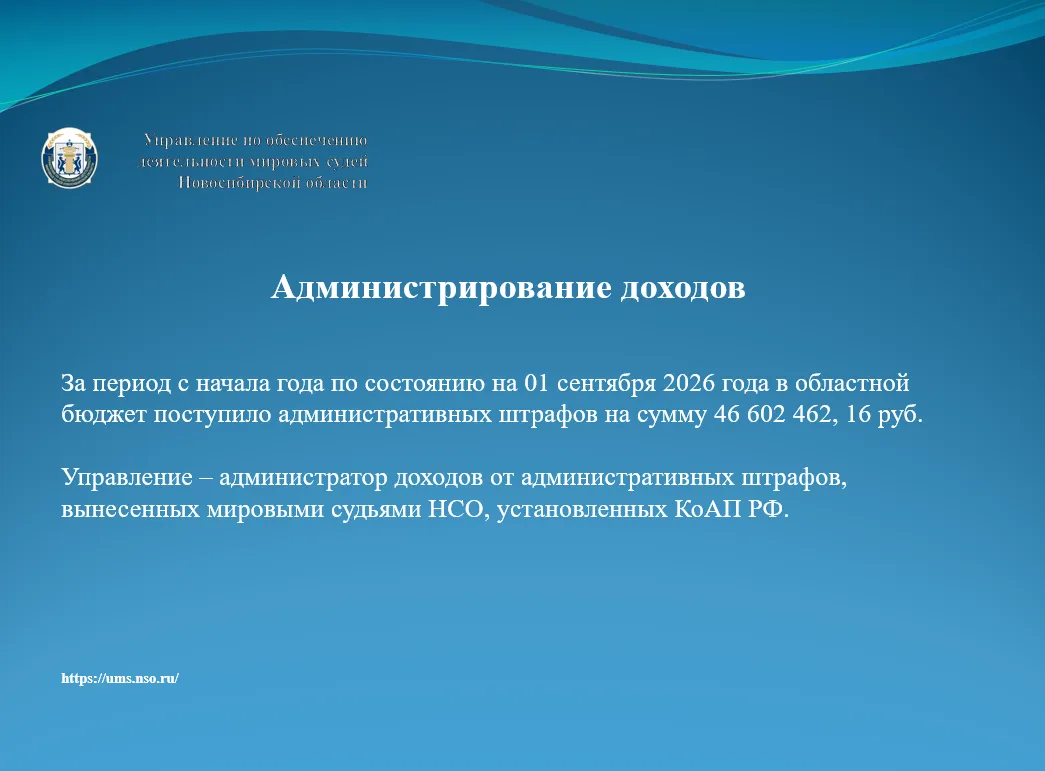 Бюджет НСО