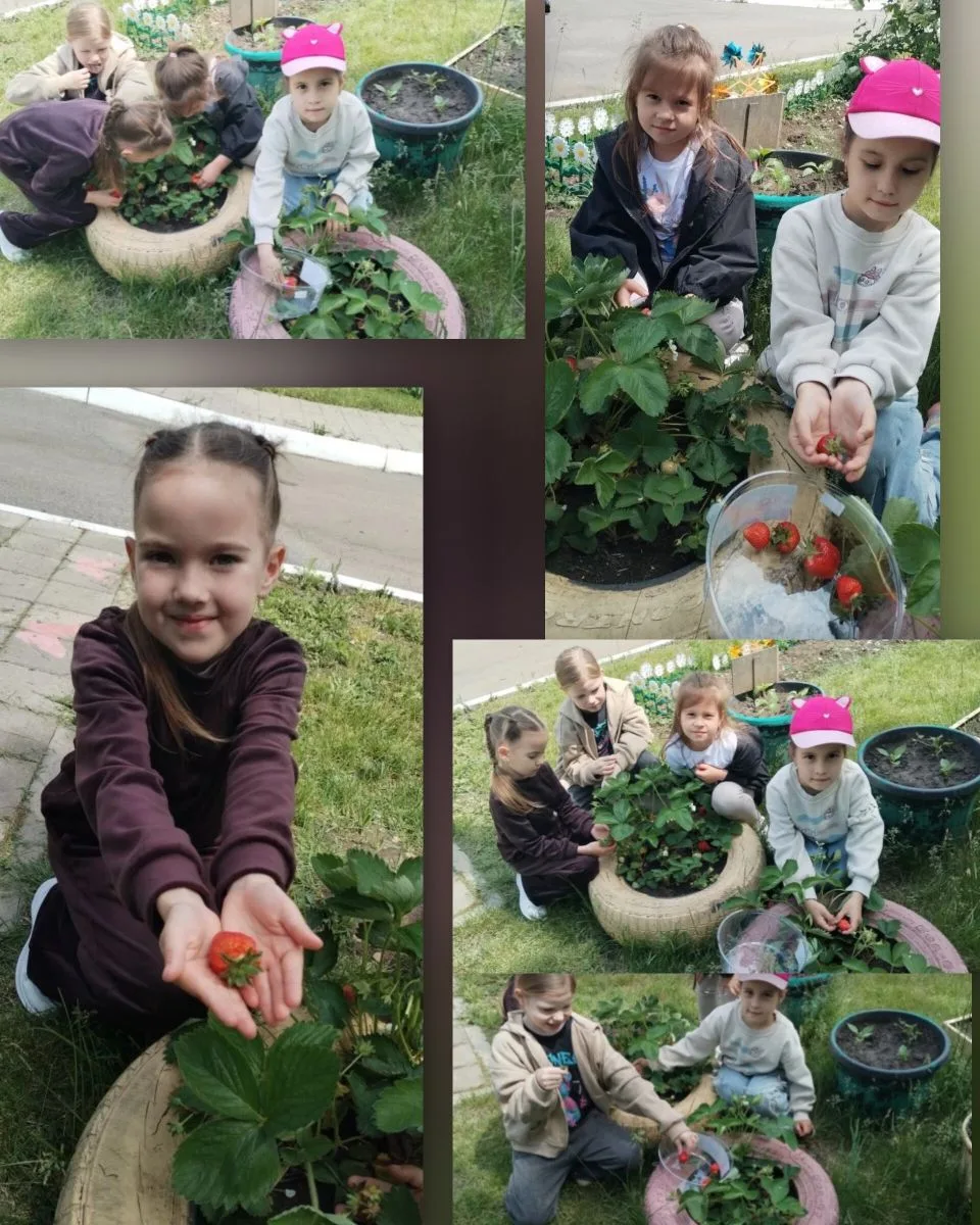 Первая клубничка - это обещание щедрого урожая и сладких летних дней!🍓🍓🍓