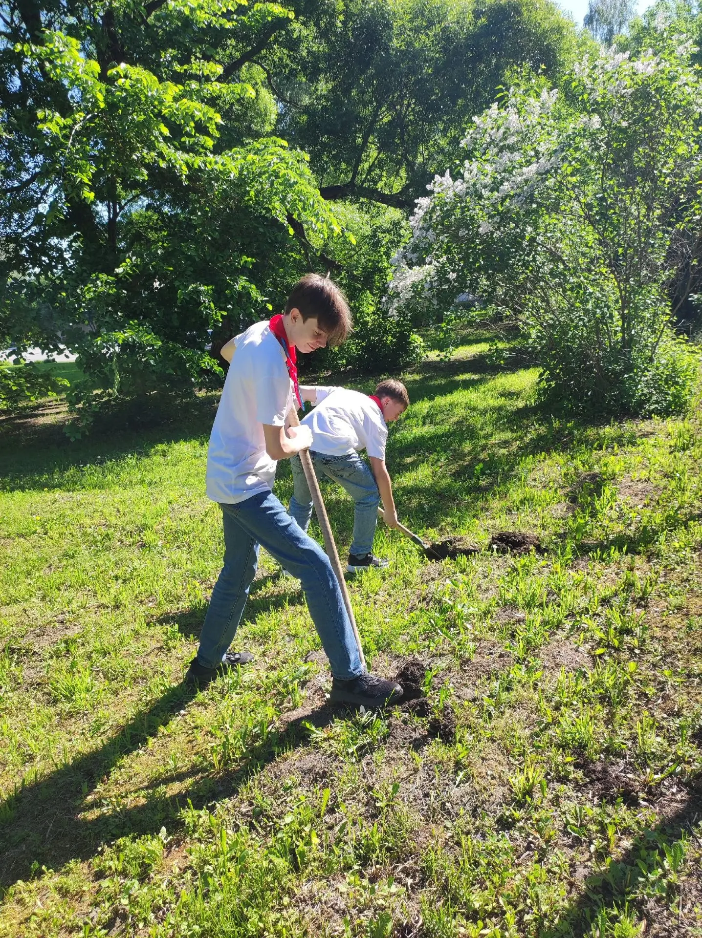 🌲🌳 Учениками нашей школы, отрядом вожатых "Первый", был заложен "Сад памяти" в честь учителей-вете