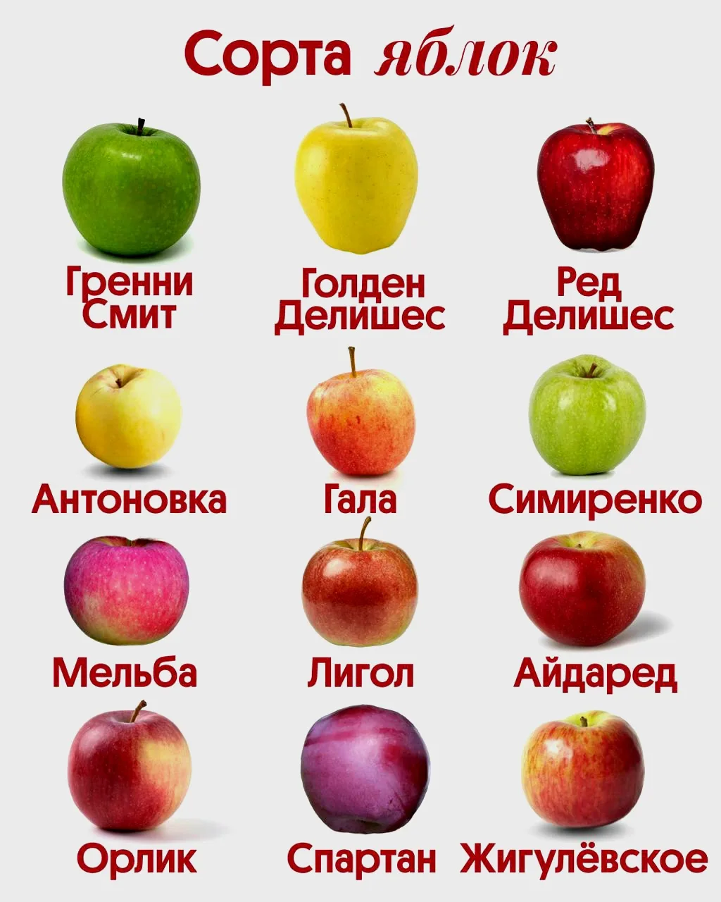 Шпаргалка по сортам яблок: выбираем идеальный фрукт для каждого случая