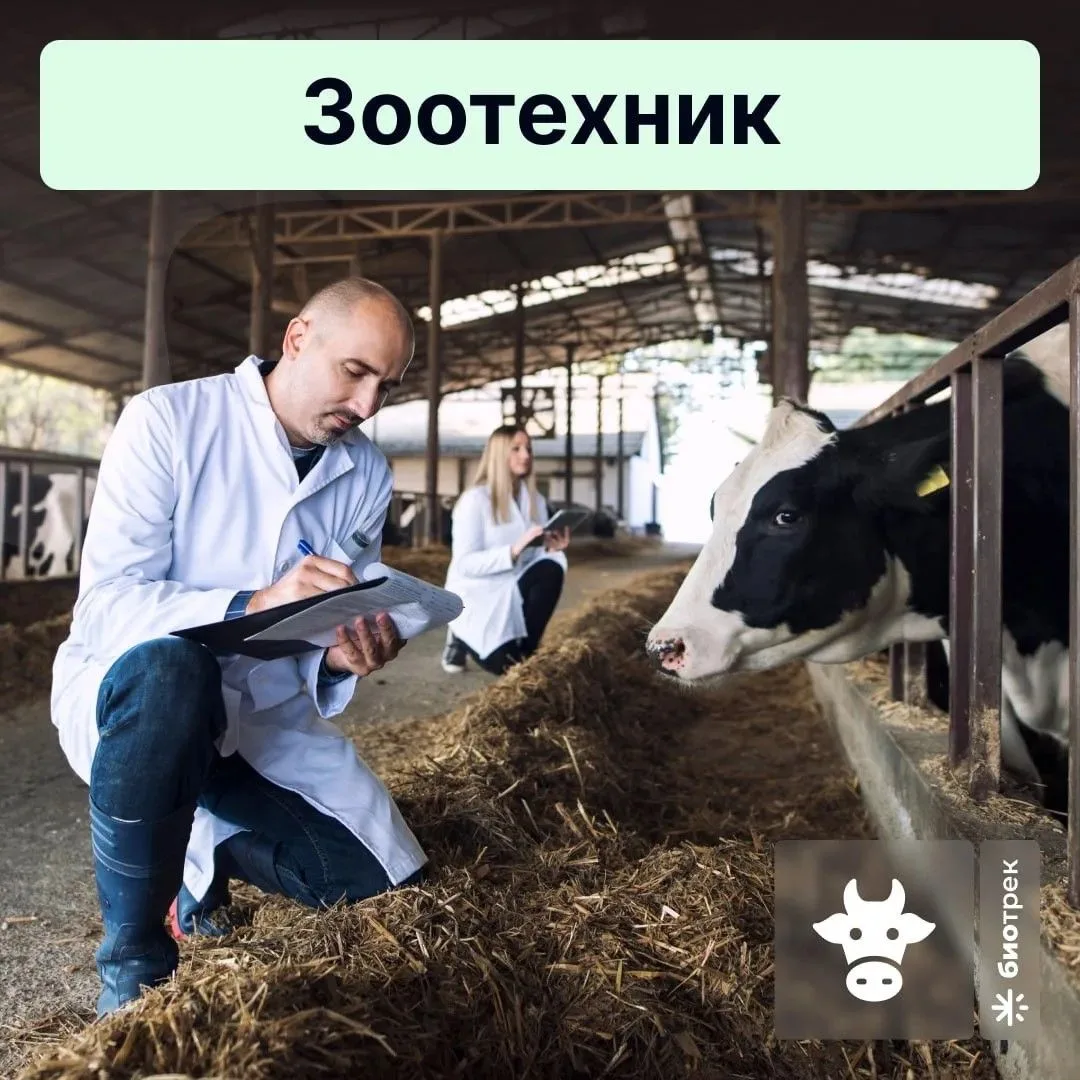 День зоотехника в России отмечается 19 июля. Эта дата не установлена официально и не за...