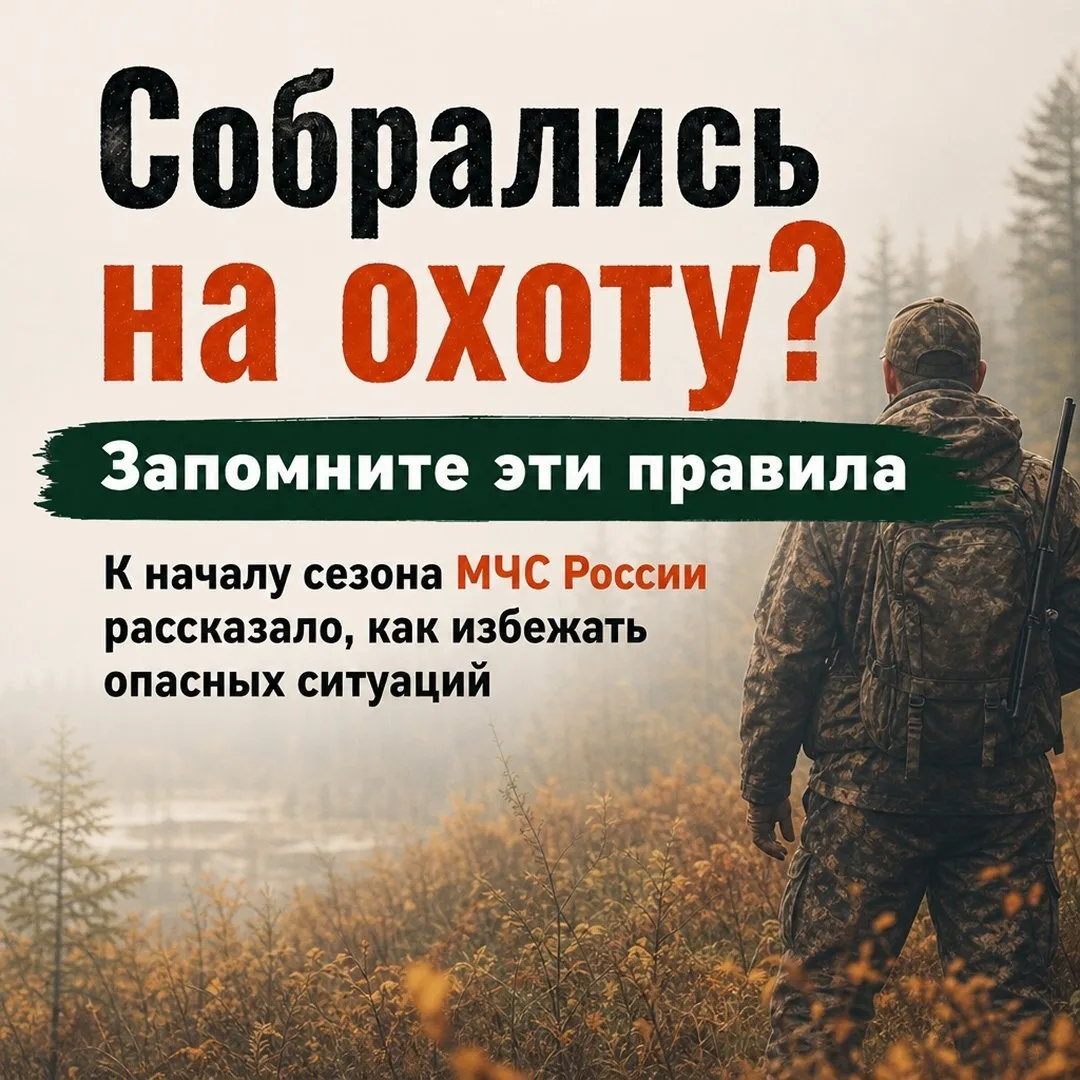 Сезон охоты стартовал: что важно помнить 🔍