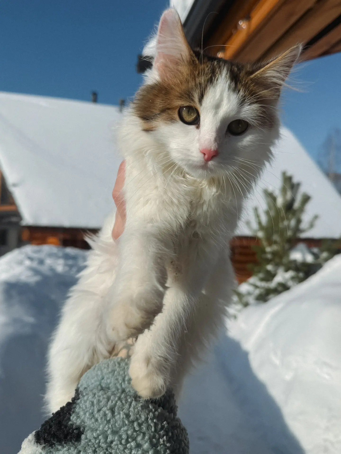 какой хороший день