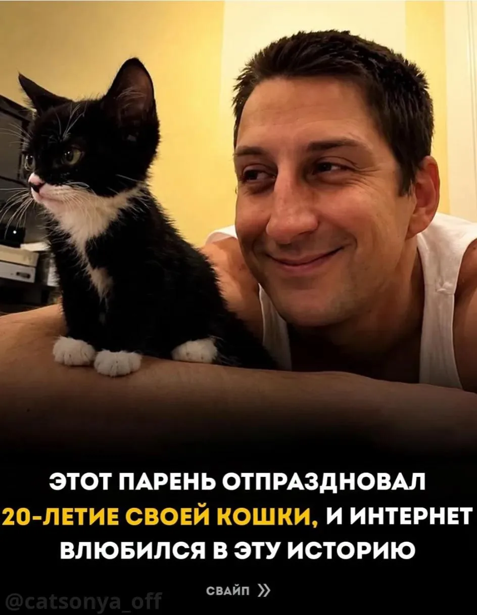 Он сфотографировал котёнка. А 20 лет спустя — воссоздал тот же снимок. 🐱