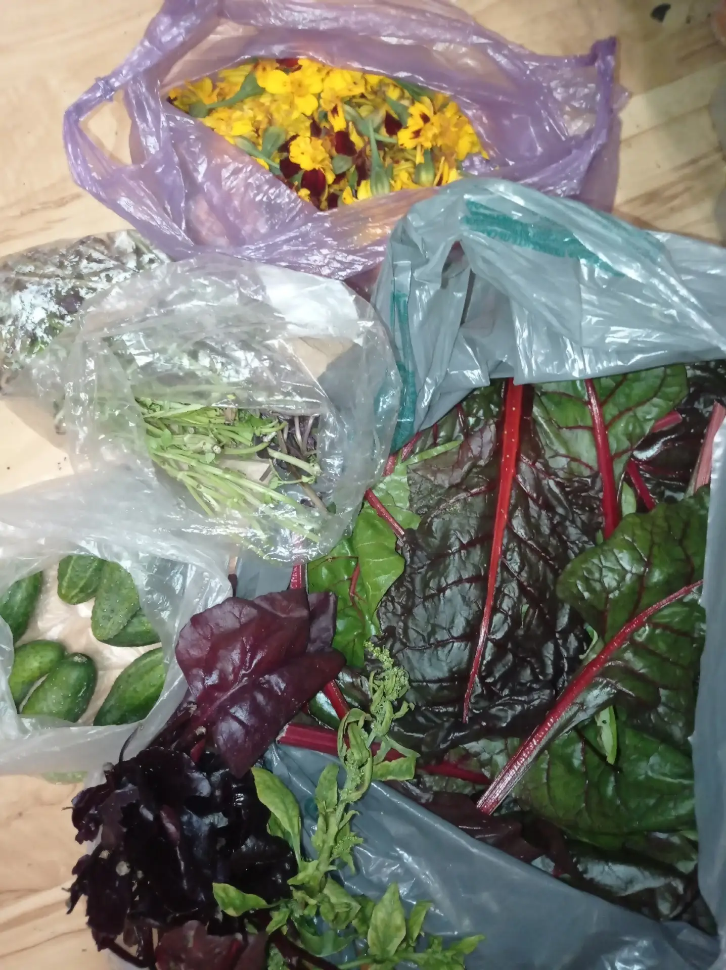 🥒Пристань Лютика  и все подопечные свиночки благодарят   Наталью Назарову за доставку ...