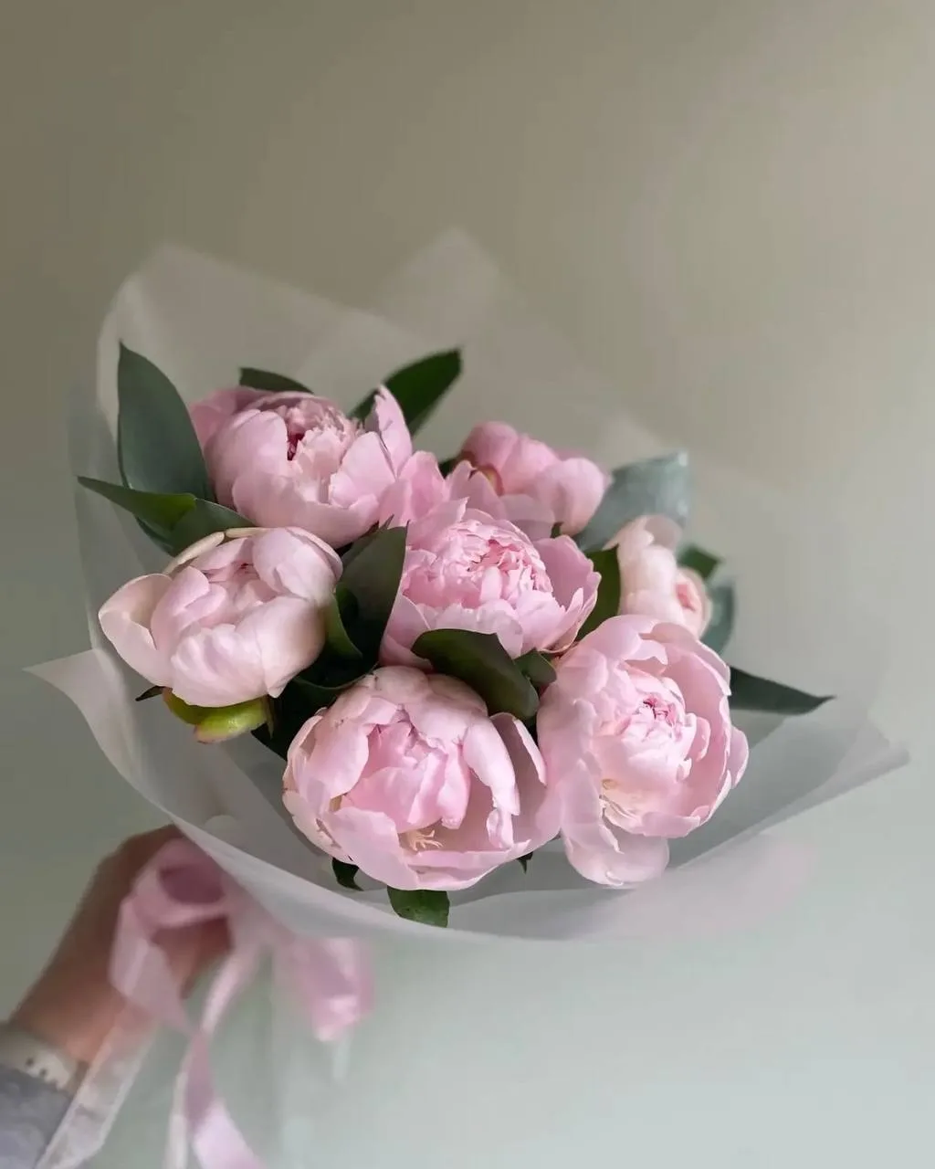 Пионы — это про любовь..🌸