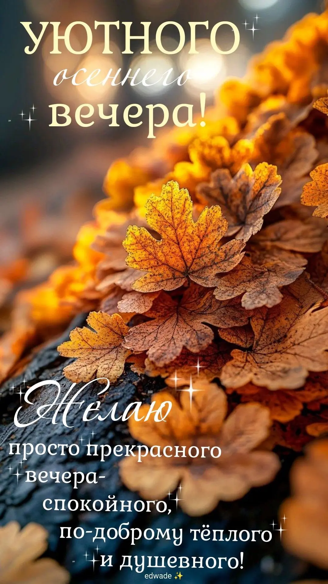 ✨ Открытки и Поздравления