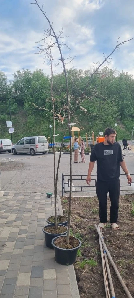 Отчёт о проделанной работе ✅