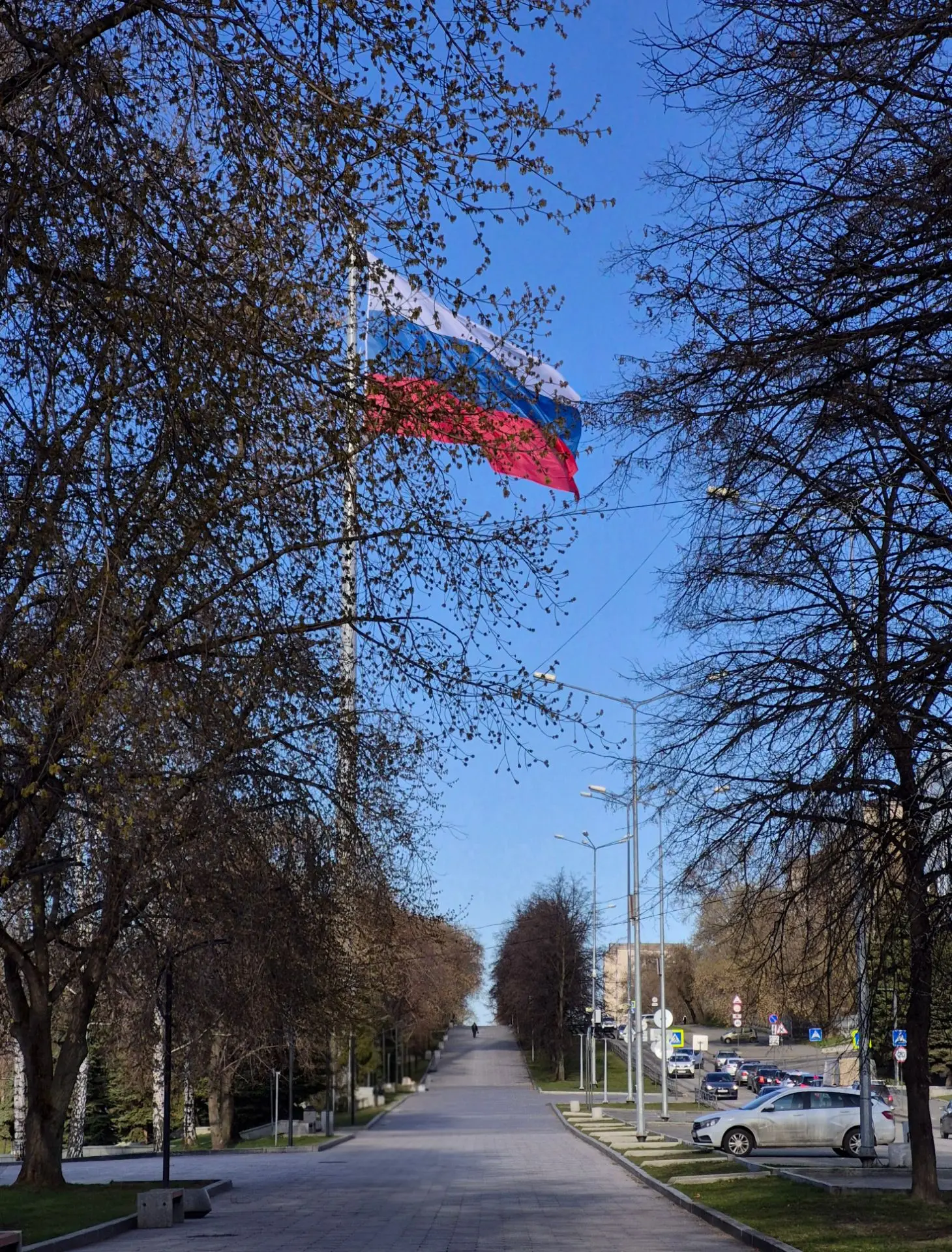 С Днем Государственного флага Российской Федерации! 🇷🇺