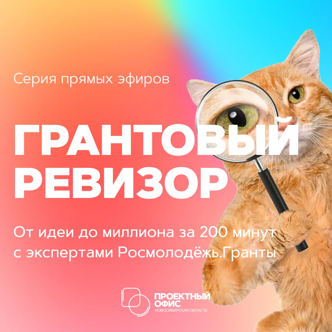 ГРАНТОВЫЙ РЕВИЗОР: ОТ ИДЕИ ДО МИЛЛИОНА ЗА 200 МИНУТ