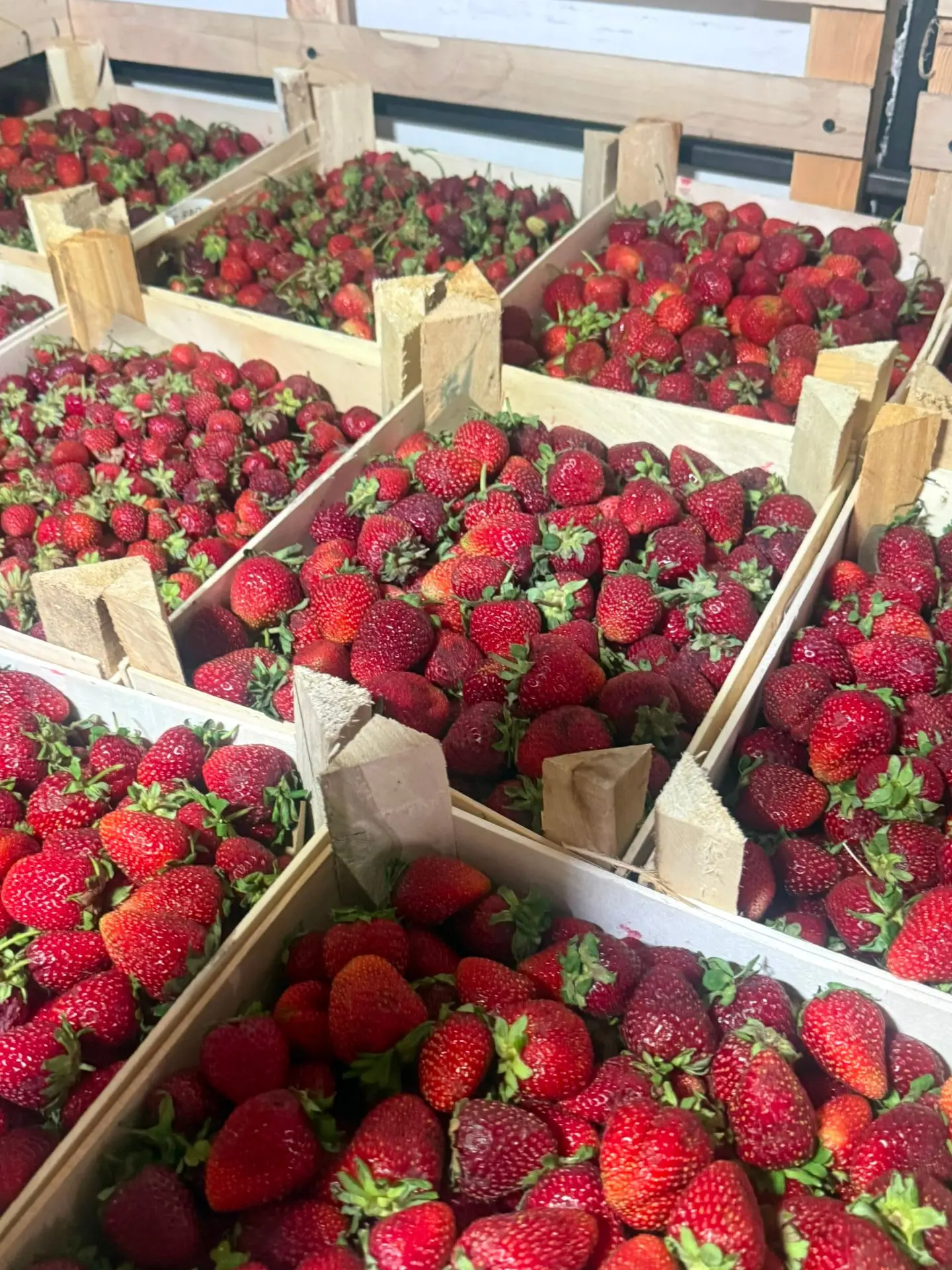 Ура! Ягодка к вечеру будет у нас 🍓 

ВЫДАЧА ЗАКАЗОВ:

24.07 (пятница) с 12 до 20.00🕐 

🚚 Выдача я