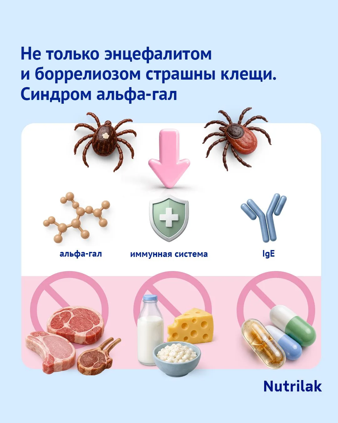 Не только энцефалитом и боррелиозом страшны клещи. Синдром альфа-гал