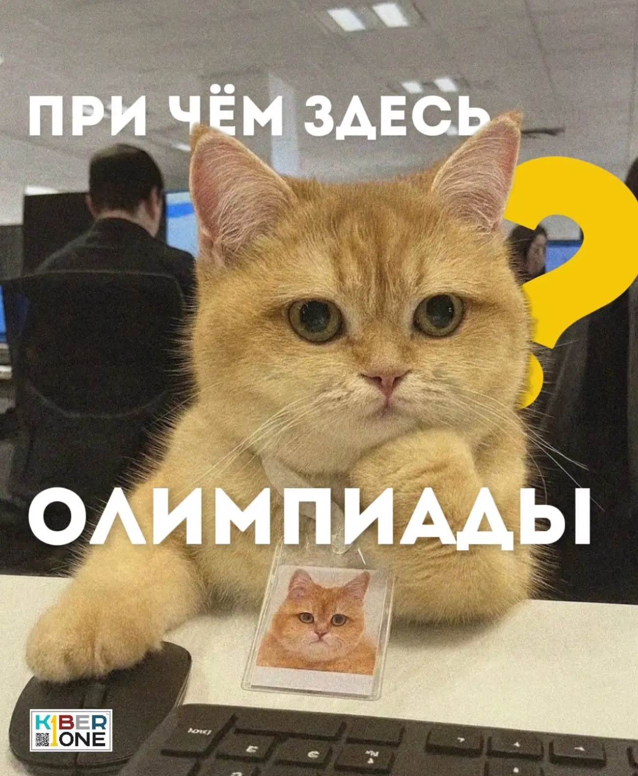 🏆 А почему мы вообще заговорили про олимпиады?